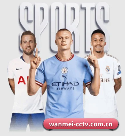 完美体育围绕看球场景设计的核心服务 - WanmeiSports
